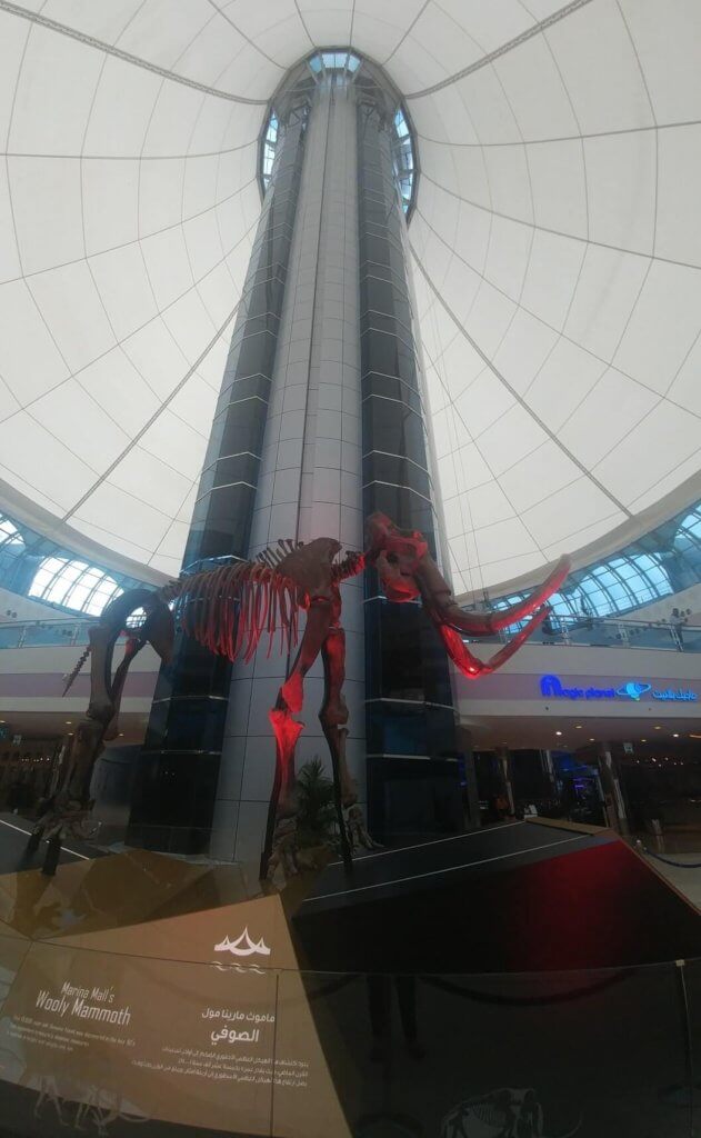 skeleton, Marina Mall, Abu Dhabi, We saw a Wooly Mammoth skeleton while we were visiting the Marina Mall