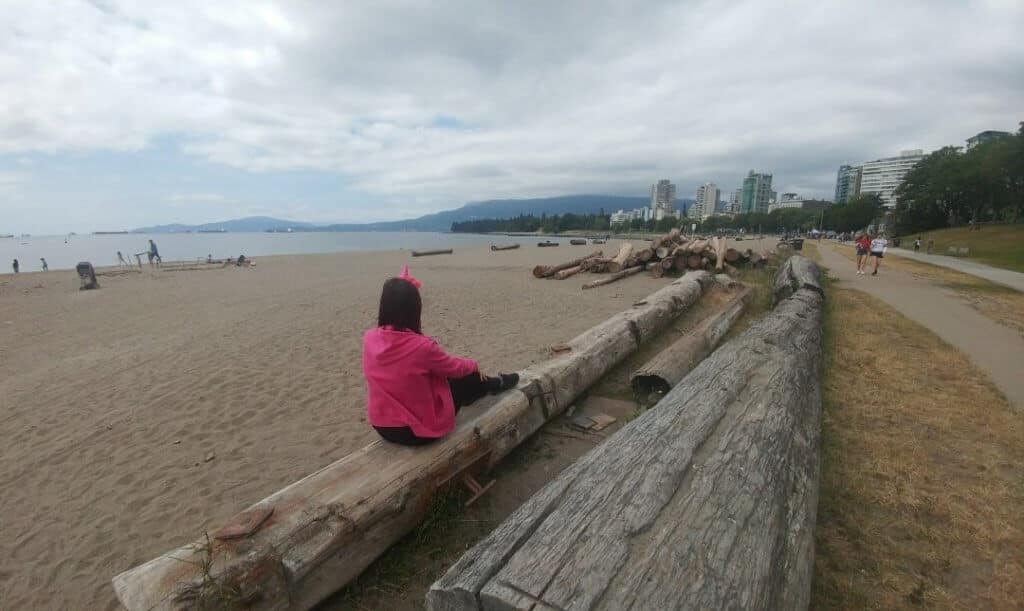 English Bay Beach, Vancouver, unicorn, logs