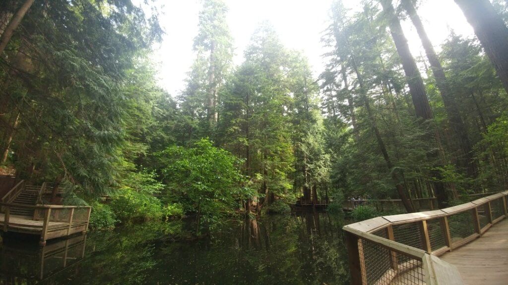 Capilano Suspension Bridge Park, Vancouver, forest, nature