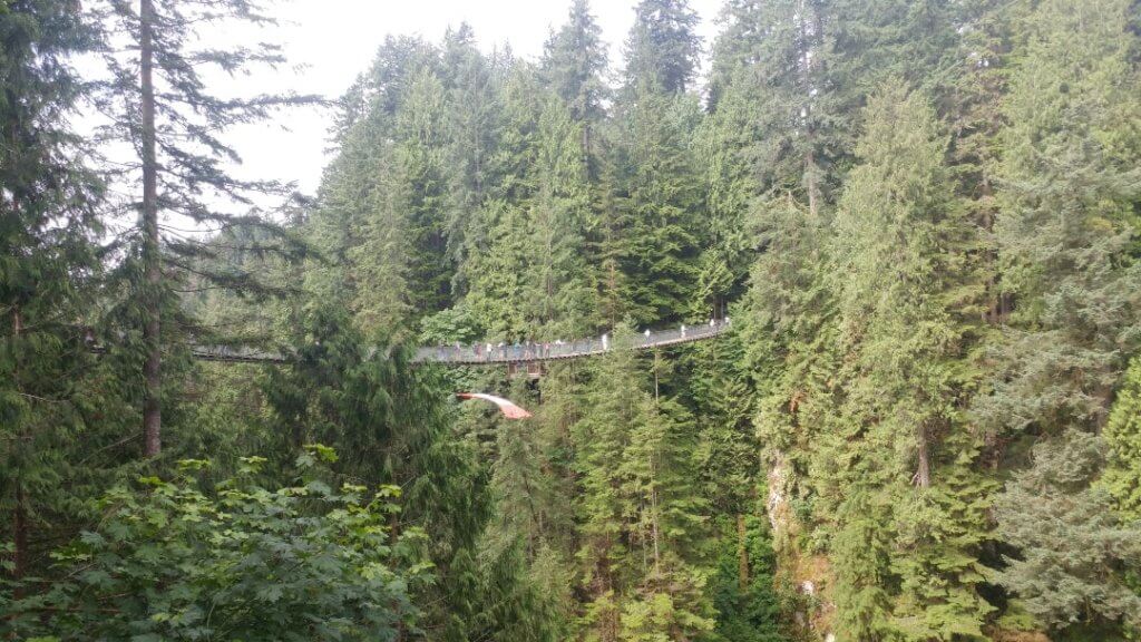 Capilano Suspension Bridge, Vancouver, park, forest