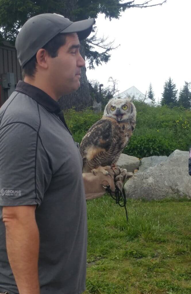Owl Interpretive Sessions , birds, Vancouver, Grouse Mountain activities
