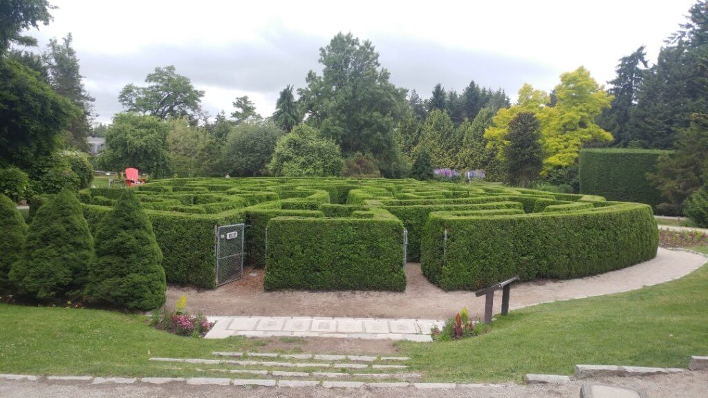 hedge maze, botanical garden, Vandusen Botanical Garden, Vancouver