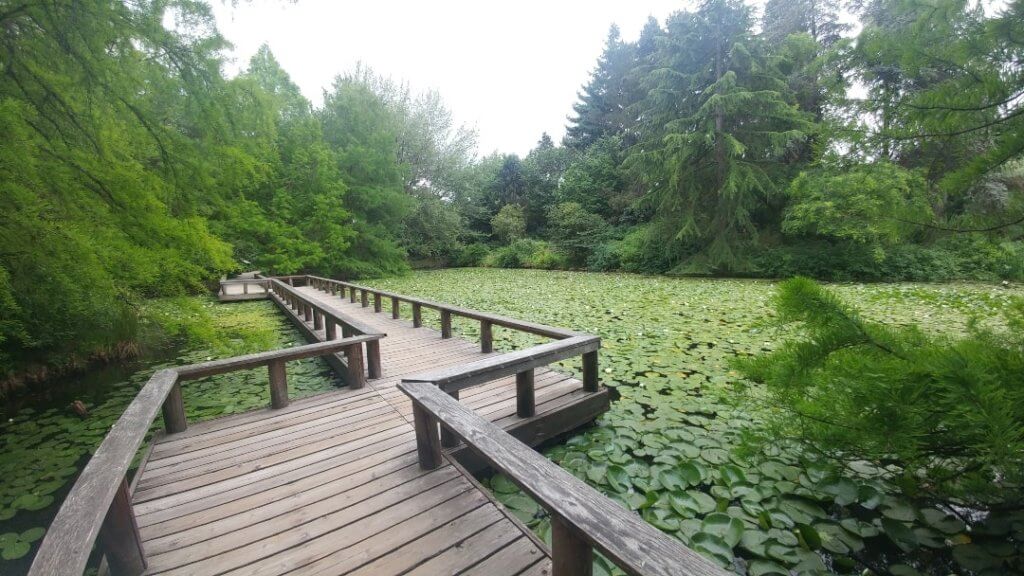 bridge, pond, Vandusen Botanical Garden, Vancouver
