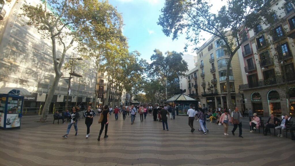 La Rambla when we visited in October, you could see some of the trees starting to turn yellow and orange