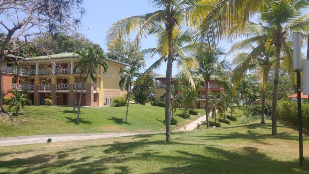 nature, palms, hotel, resort, all-inclusive resort in Panama