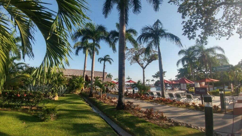 resort, hotel, pool, palms, all-inclusive resort in Panama