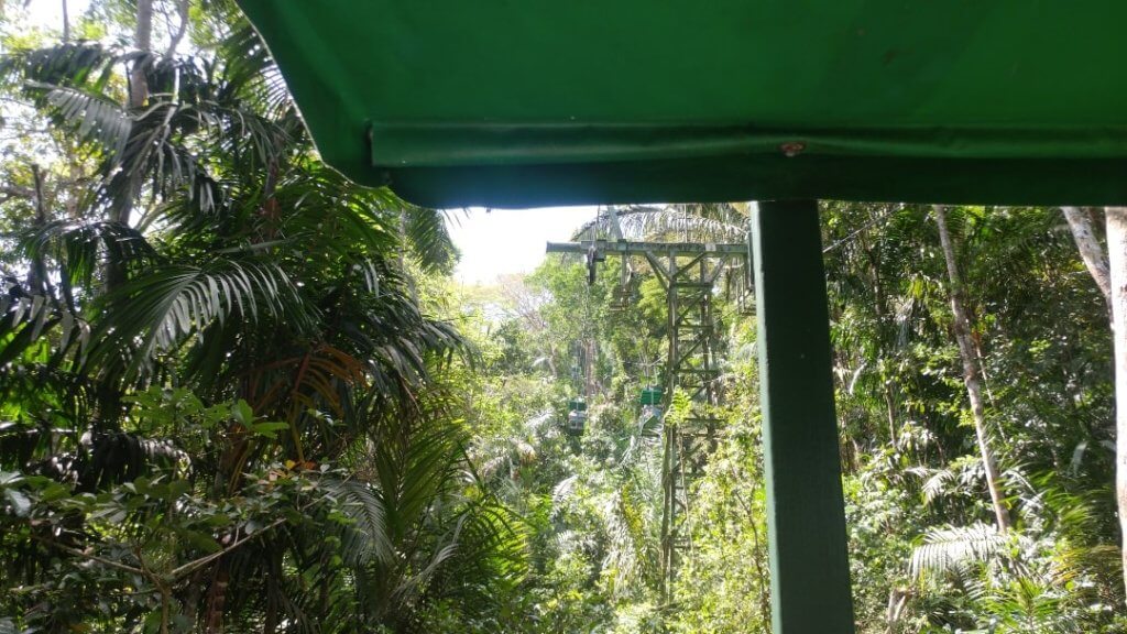 jungle trip, Panama, trees, nature, tram, jungle Panama