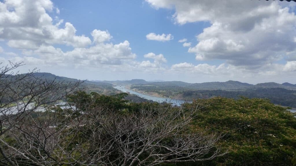 Panama Canal, nature, trees, excursion 