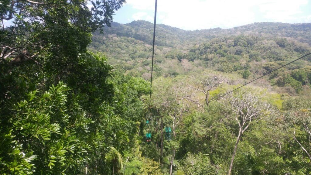 jungle trip, Panama, trees, nature, tram,
jungle excursions from Playa Blanca