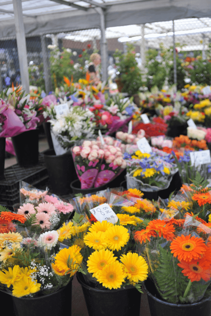 ByWard Market, flowers, stalls