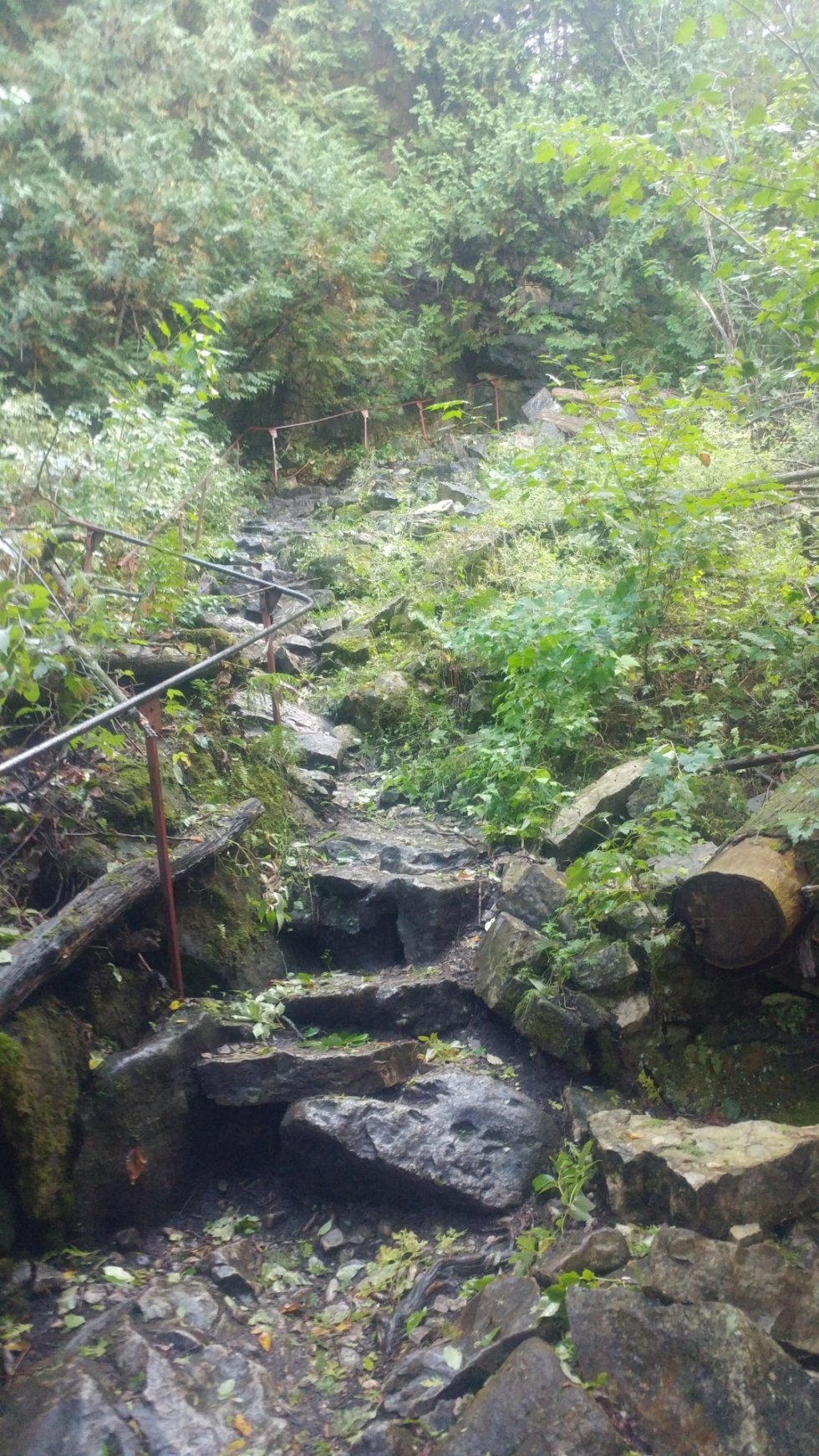 15 Things To Do In Wiarton, Ontario 2025