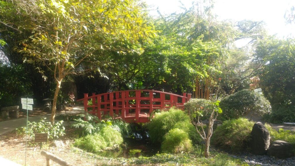 Botanical Gardens, Japanese garden, nature