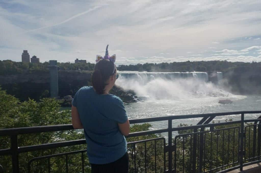 Overlooking the American Falls, unicorn, Niagara Falls Canada attractions