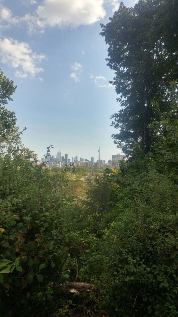 View towards downtown Toronto from Casa Loma's gardens 