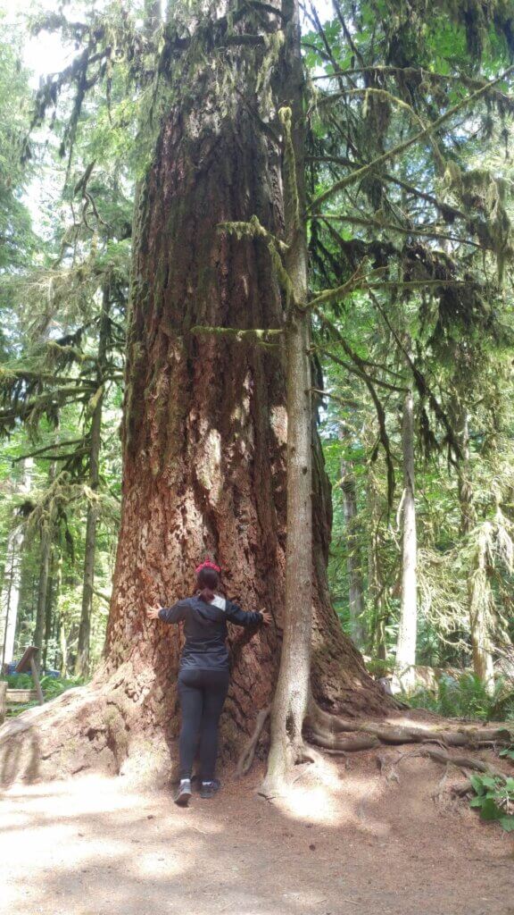 Unicorn hugging a huge tree, forest, Tofino, British Columbia, what to wear in Tofino