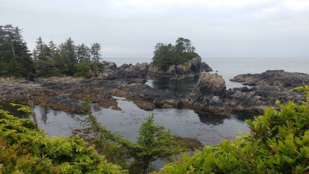 Beautiful nature along the Lighthouse Loop in the Wild Pacific Trail, Tofino travel