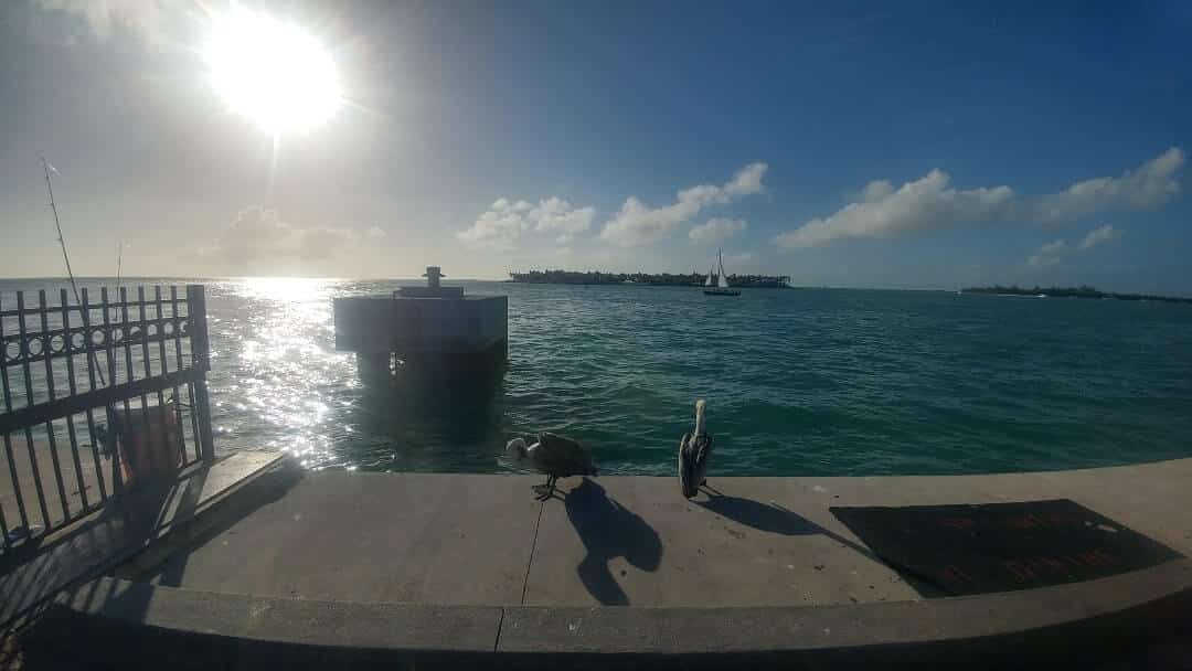 Is Key West Worth Visiting In 2024 Things To Do Reasons To Visit   20220307 165852 HDR R Min 