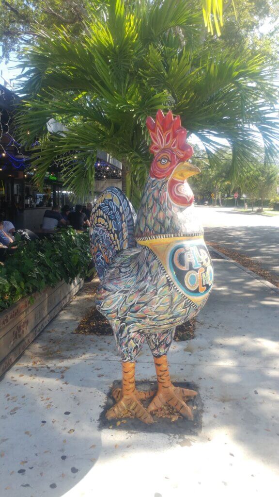 One of the roosters that you will find all over Little Havana, Fun things to do in Miami for adults