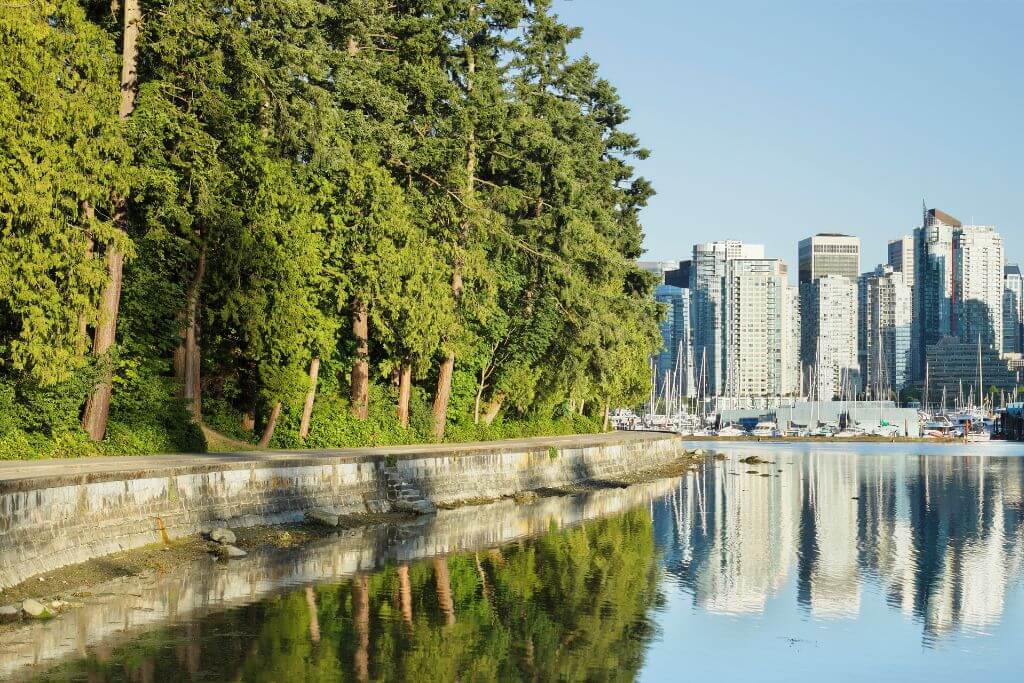 View of the city of Vancouver and Stanley Park, nature, trees, buildings