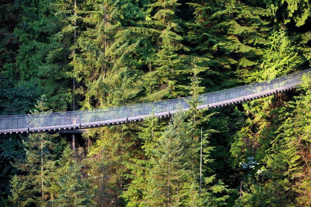 Capilano Suspension Bridge in Vancouver, British Columbia, Canada