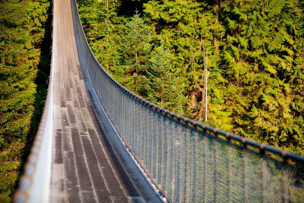 Capilano Suspension Bridge in Vancouver, forest, rope bridge