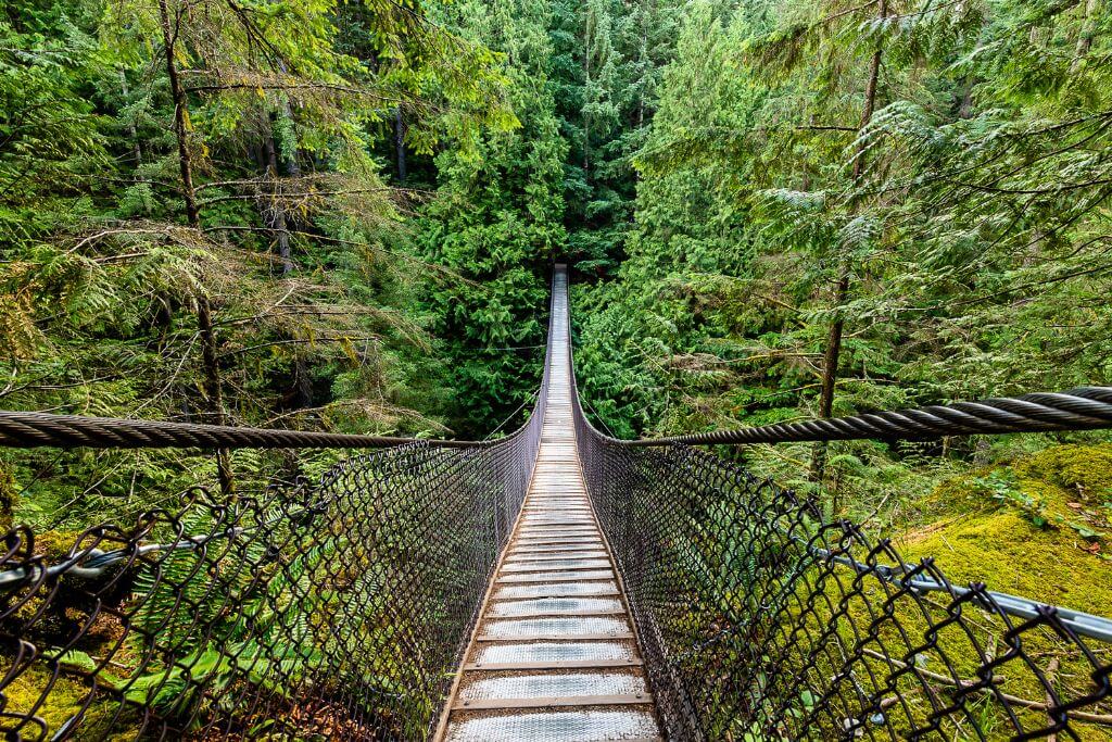 Lynn Canyon Suspension Bridge, Vancouver, nature, forest