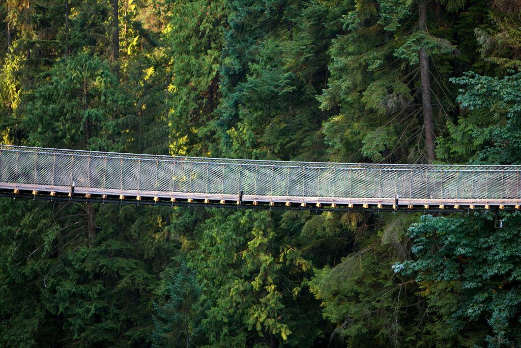 bridge, rope bridge, nature, exploring, Vancouver, Canada