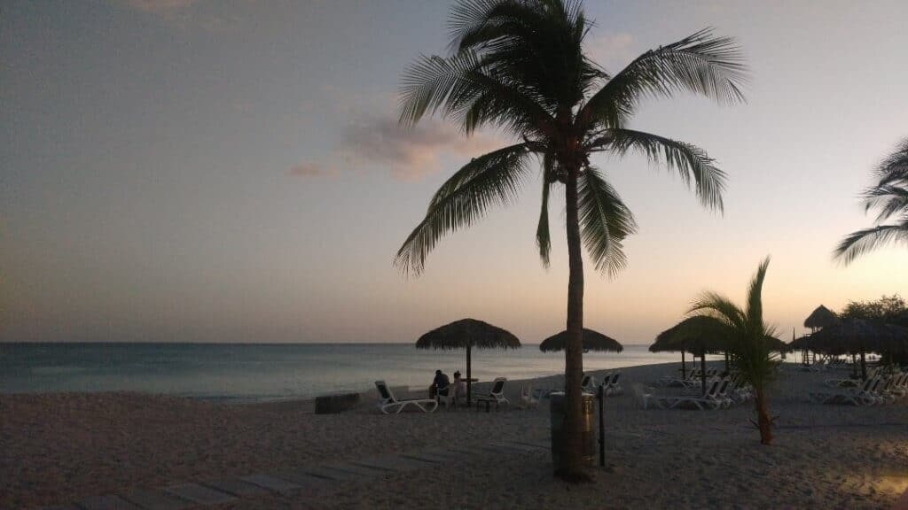 An evening view of Playa Blanca, palm tree
