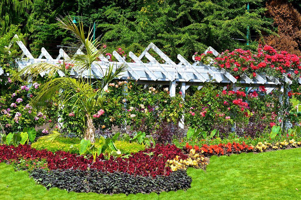 Enjoy the beautiful Rose and Shakespeare Gardens, flowers, nature, green, Stanley Park rose garden