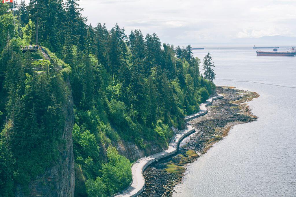 Aerial view of the Seawall, nature, forest, park 
