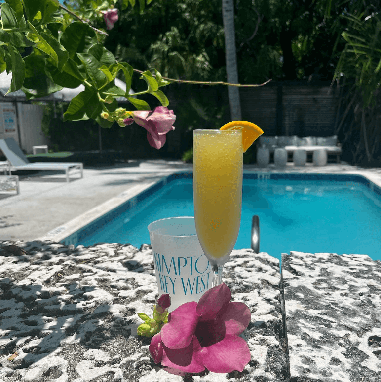Kimpton Key West, pool, drink, cocktail, flower