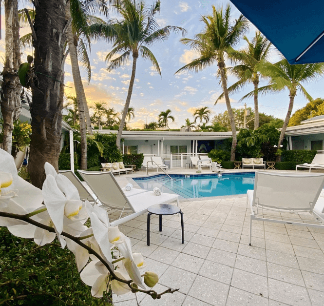 Orchid Key Inn in Key West, pool, palm trees, resort for couples,  Key West vacations for couples