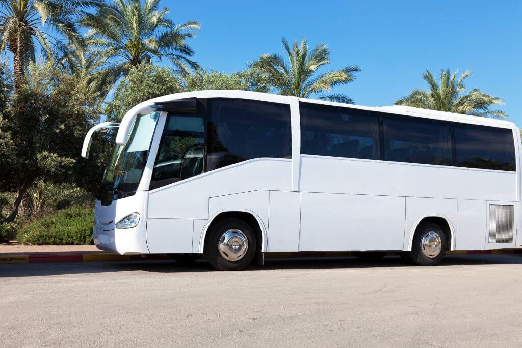 white bus, tour bus, palms