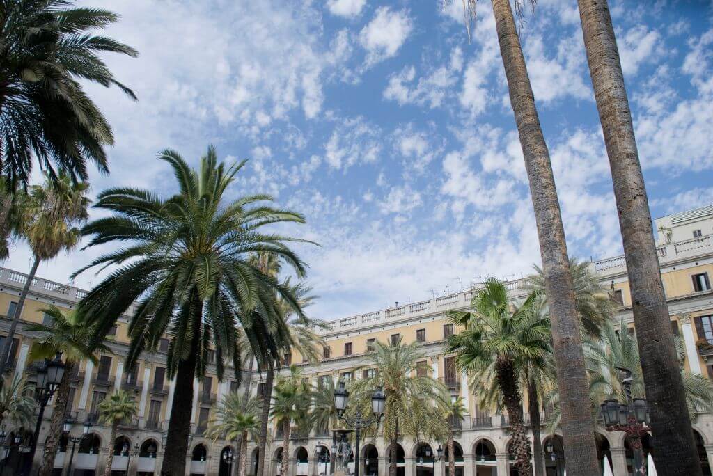 Plaça Reial beside La Rambla, plazza, square, palm trees