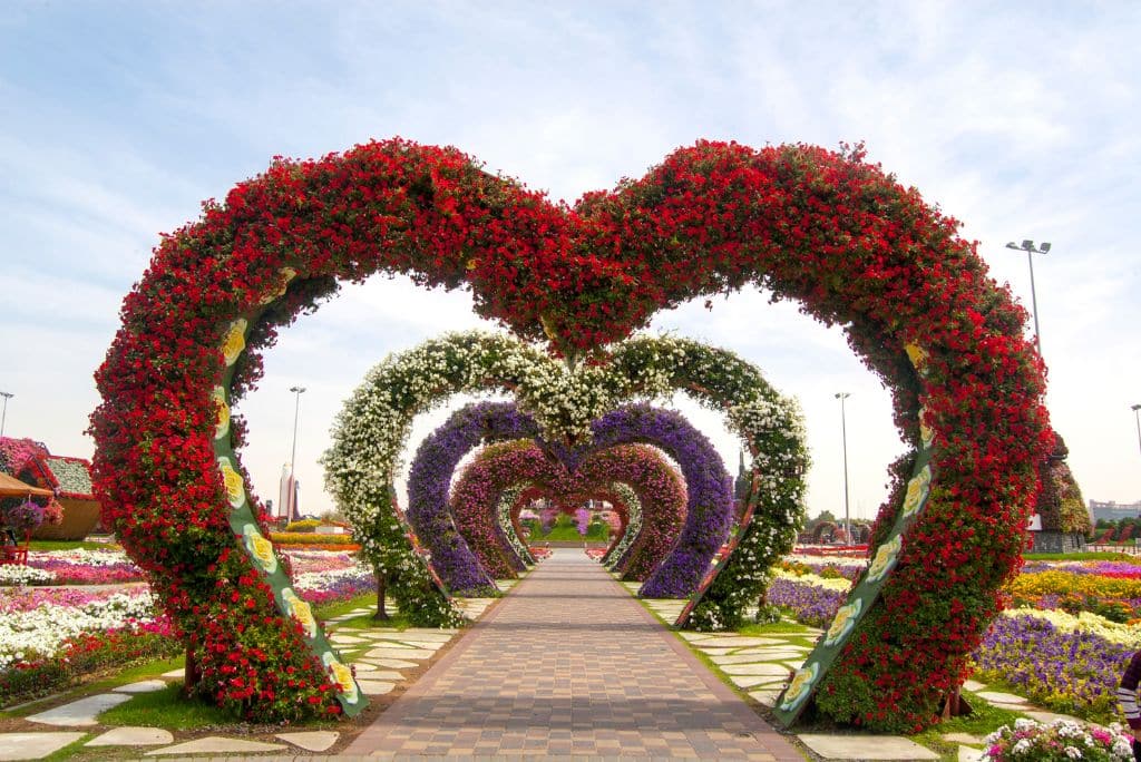 Miracle Garden, flower, plants, Is Dubai Worth Visiting