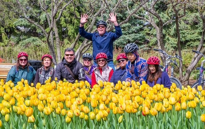 A group of bikers enjoying the tulips, yellow flowers, yellow tulips, Ottawa Bike Tours