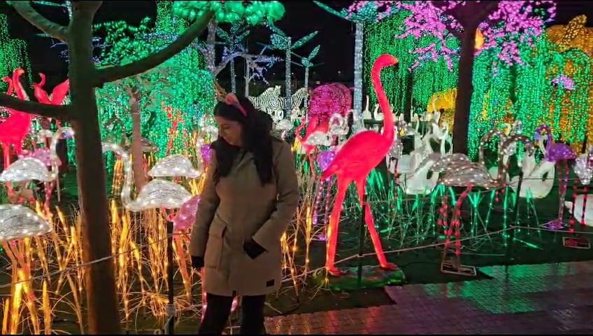 Illumi, winter activity, light displays 