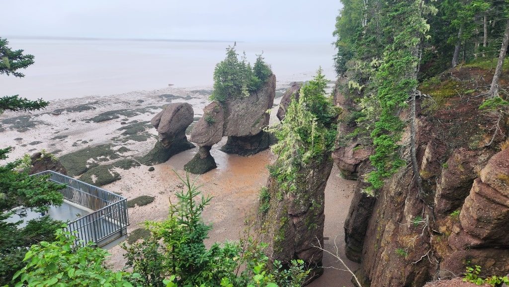 Flowerpots during low tide, ocean floor, New Brunswick things to do