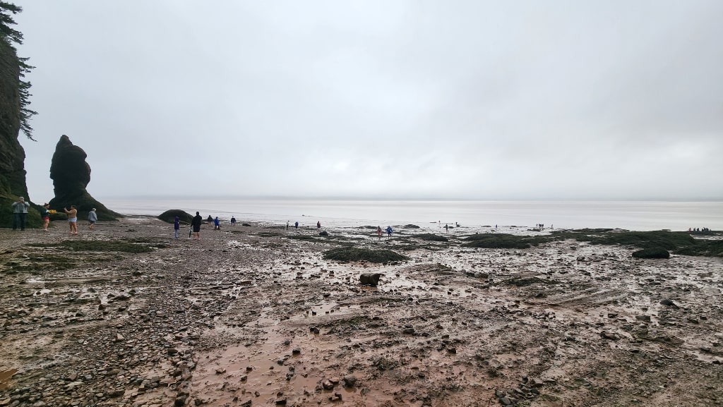 ocean floor, mud, Hopewell Rocks, low tide, Bay of Fundy