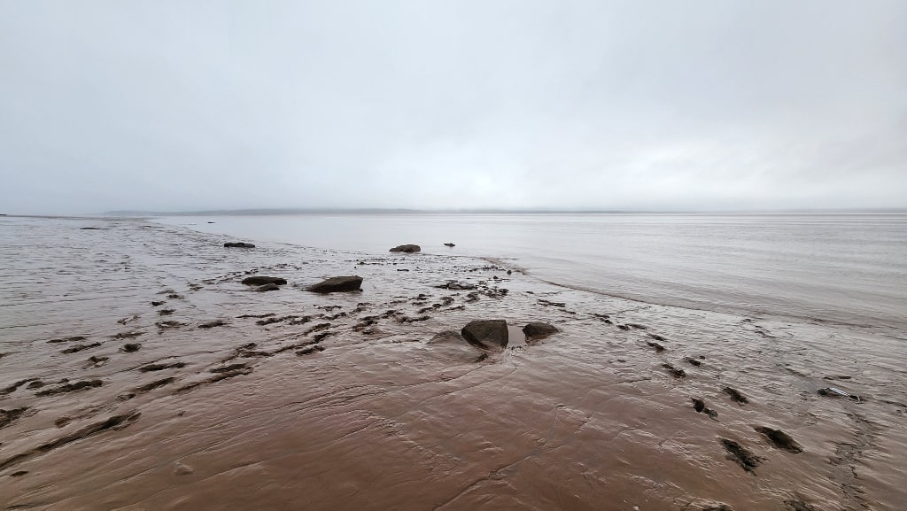 Thick mud, muddy beach, ocean, low tide