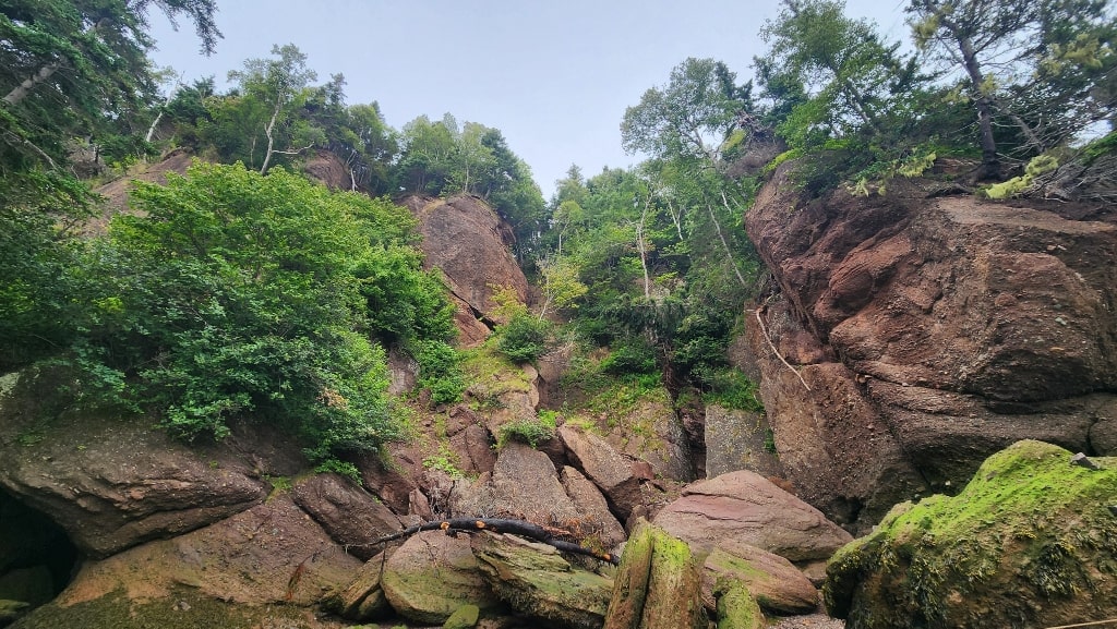 Rocks, shoreline, forest, stones