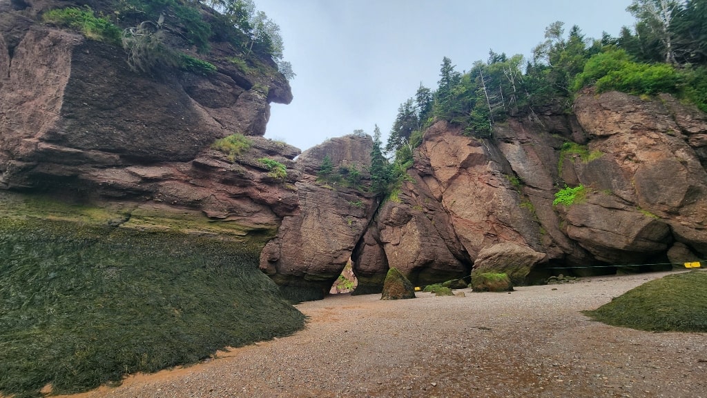 Stones, rock formations, shore, Hopewell Rocks