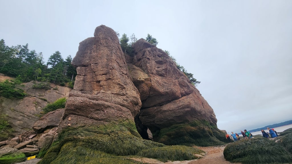 The Elephant Rock, stone, rock formation, Bay of Fundy