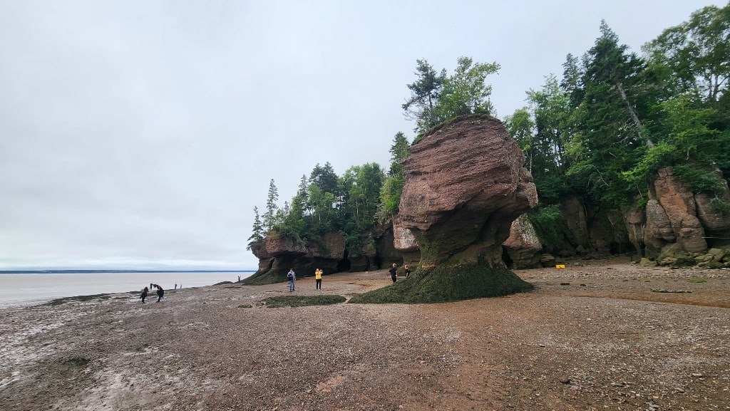 Flowerpot formations, ocean floor, nature, New Brunswick, Bay of Fundy