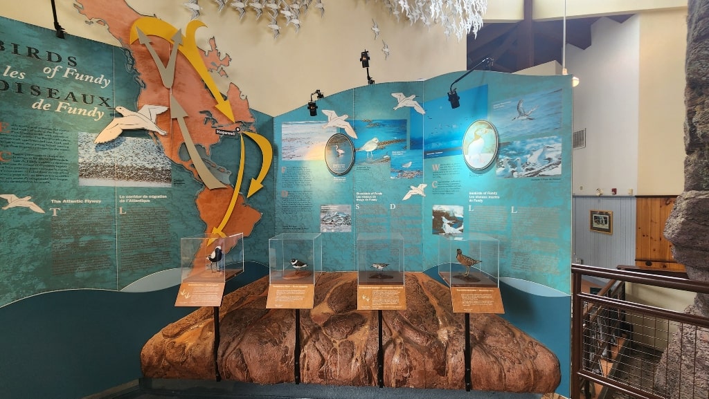 The Interpretive Centre at Hopewell Rocks, educational board/display