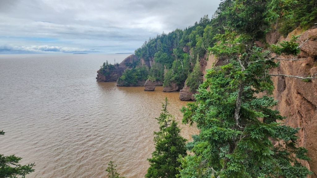 Hopewell Rocks Provincial Park shore after the tide has returned