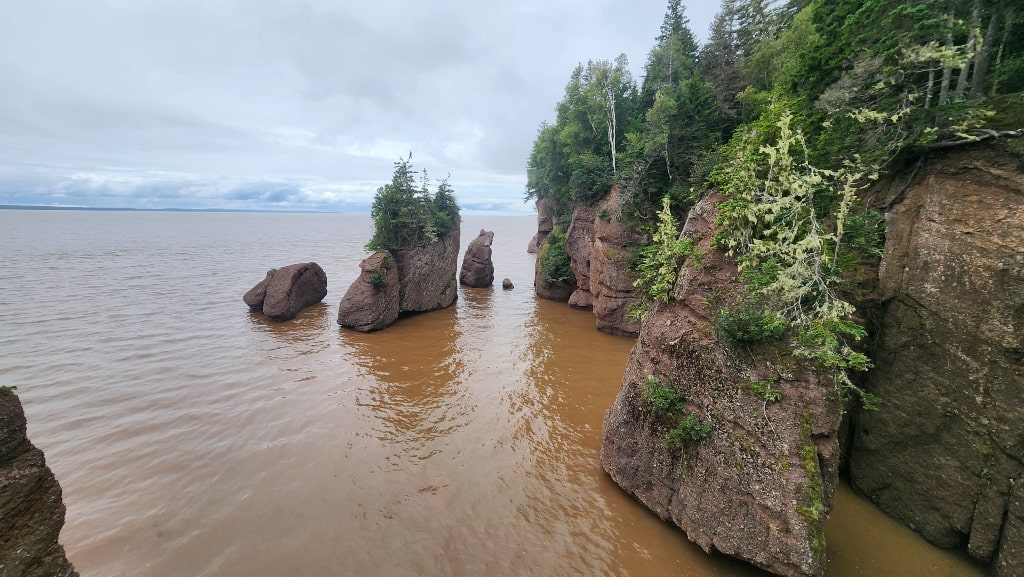 Flowerpots during high tide, Hopewell Rocks