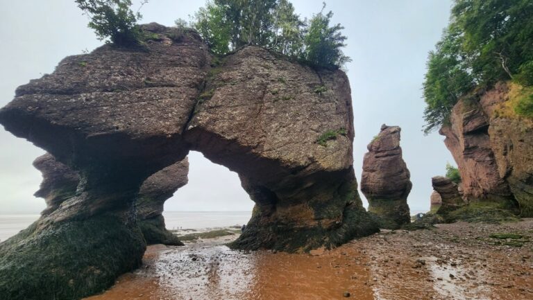 What Is Special About Hopewell Rocks, New Brunswick?