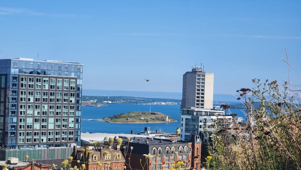 George Island from Citadel Hill, city view, ocean view, buildings, Fun Things To Do In Halifax For Adults