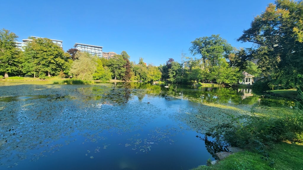  Griffin’s Pond, Halifax Public Gardens, large body of water, park, greenery